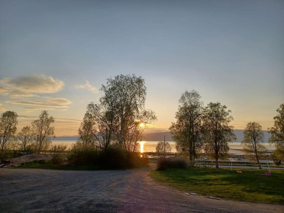 Farmroom With Sauna And Aurora Narvik Exterior photo